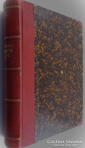 IGEN RITKA !!!  A művészetek története – A legrégibb időktől napjainkig(1885) 1.kiadás