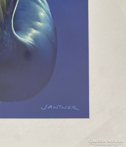Jantner János, Sellők c. alkotása, akril, karton, 50x36 cm, + kék alumínium keret
