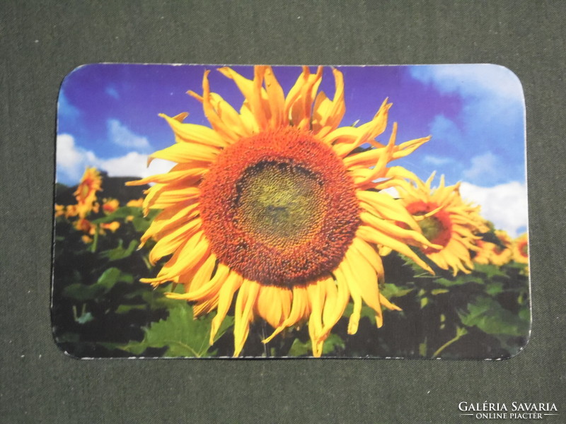 Card calendar, flower, plant series, sunflower, 2019, (2)