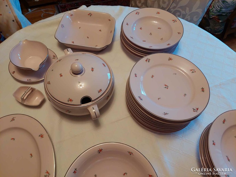 Thum bohemian antique porcelain 43-piece tableware