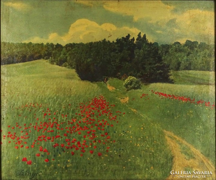 1M162 with Szinye sign: landscape with poppies