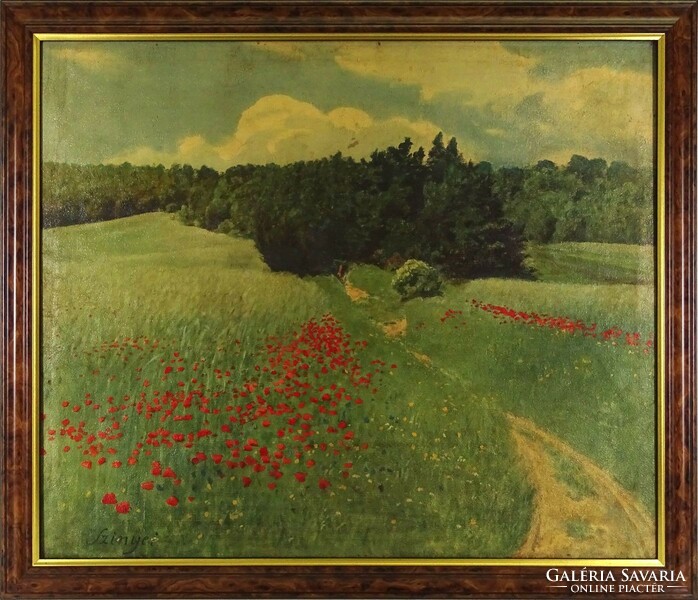 1M162 with Szinye sign: landscape with poppies