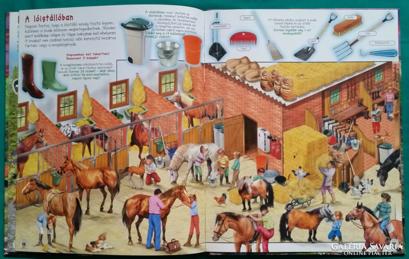 'Francisco Arredondo: find the horses!> Children's and youth literature > non-fiction