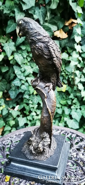 Papagáj bronz szobor