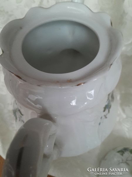 Antique unique teapot with blue flowers