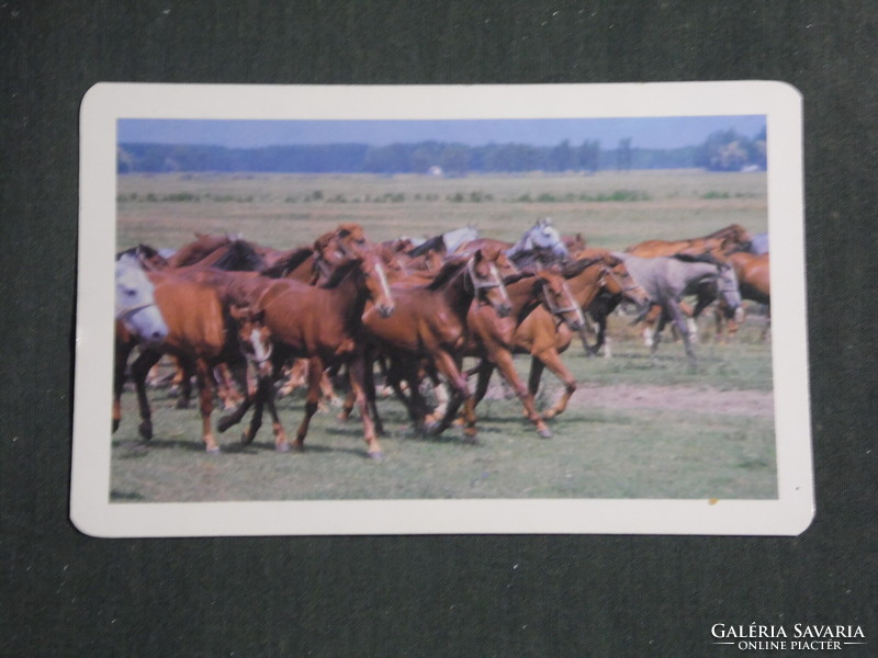 Card calendar, gift shops, animals series, horse, stud, 1987, (3)
