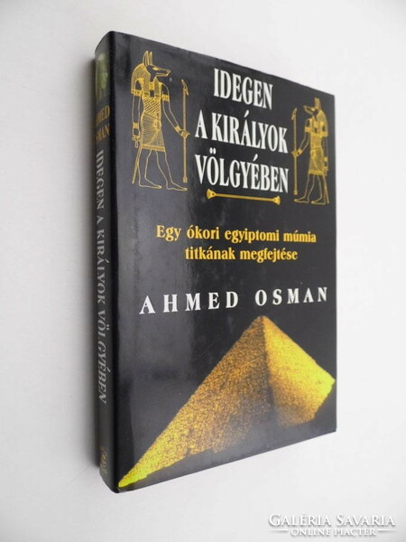 A stranger in the valley of the kings ahmed osman