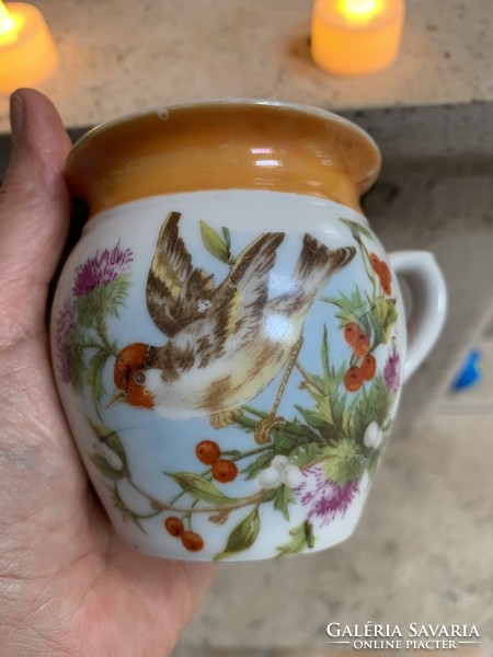 Bird cup