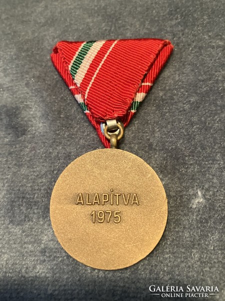 Pedagogic service memorial medal - award