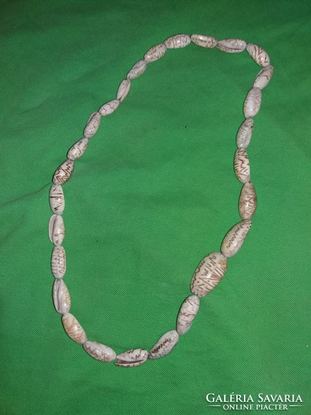 Old Egypt / Africa necklace made of small snails very beautiful 60 cm according to the pictures 2.