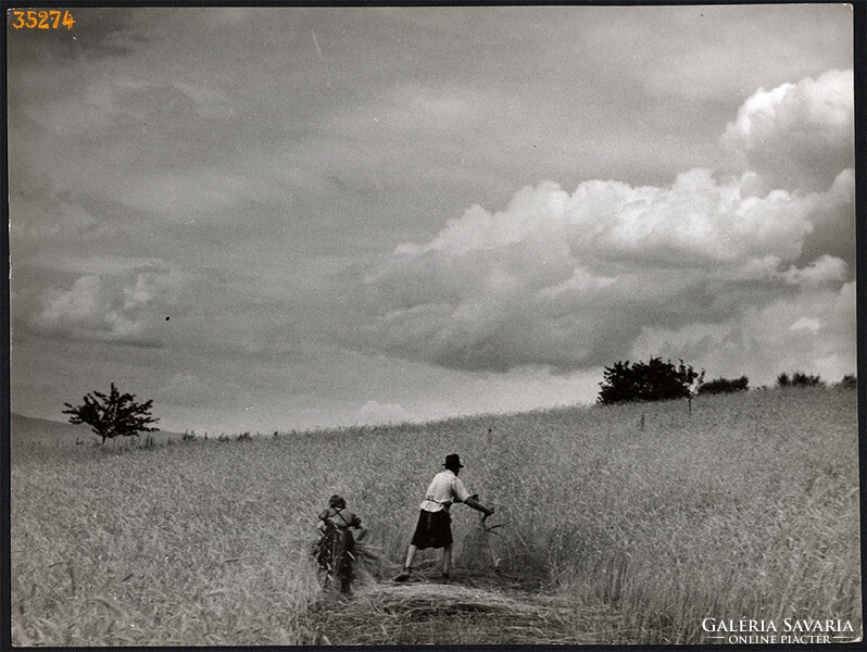 Larger size, photo art work by István Szendrő. In a wheat field, with a scythe, 1930s, ethnography