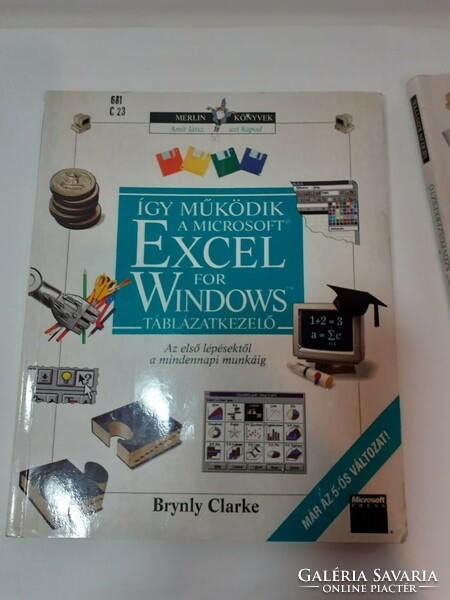 This is how word works and this is how Microsoft Excel works 2 books in one Merlin book series