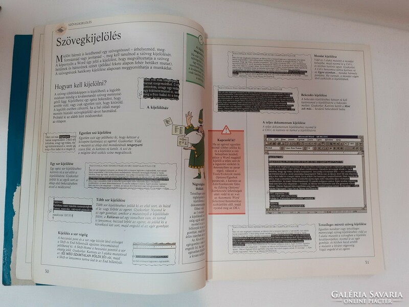 Így működik a Word és Így működik a Microsoft Excel 2 db könyv egyben Merlin könyvek sorozat