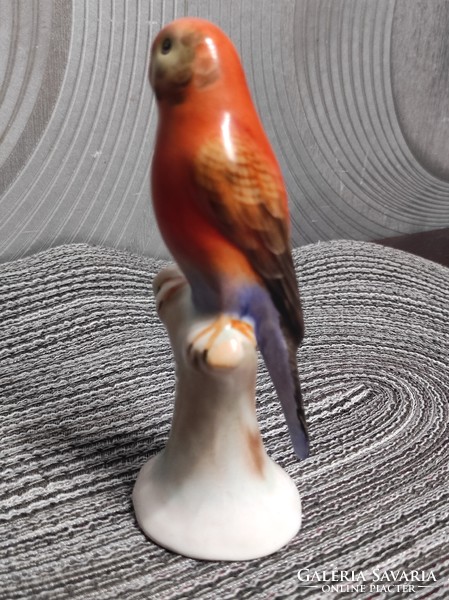 Bodrogkeresztúri piros papagáj