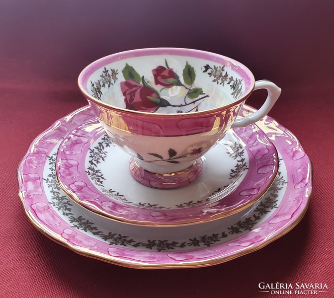 Wakbrzych Polish porcelain breakfast set cup saucer small plate coffee tea rose flower pattern