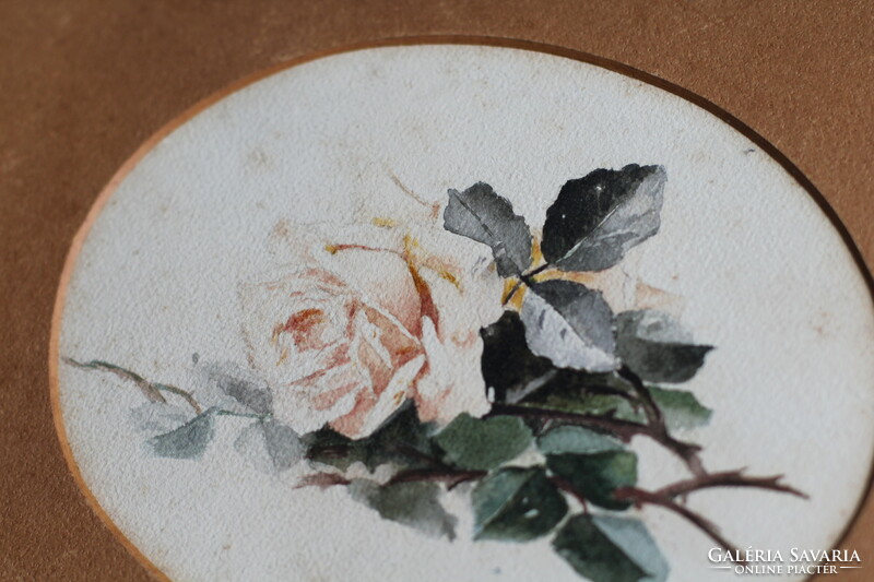 Antique old rose watercolor painting image