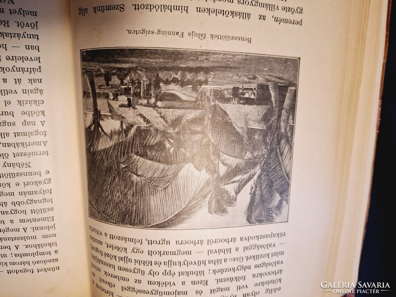 1905 "képes"M.F.T.K. VI.-GRÓF FESTETICS R.: EMBEREVŐK KÖZÖTT-8 évi Csendes-ó.hajózás a TOLNA yachton