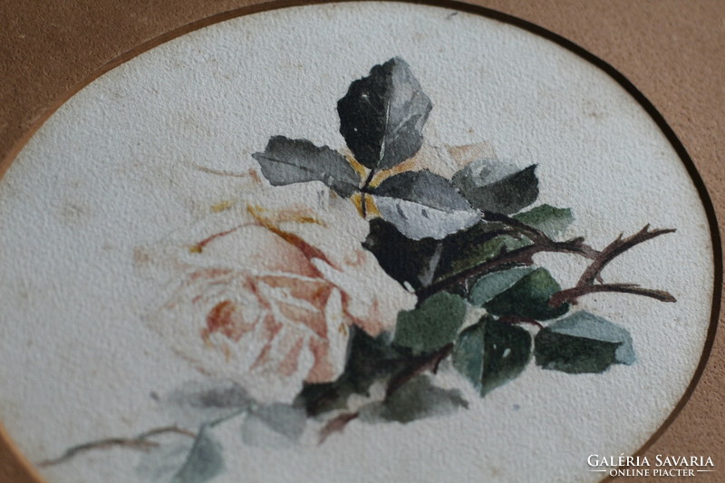 Antik régi rózsa akvarell festmény kép