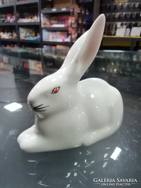 Red-eyed bunny from Ravenclaw House