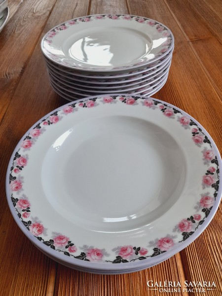 Schlaggenwald porcelán tányérok, 4 db mély, 8 db lapos, 12 db egyben
