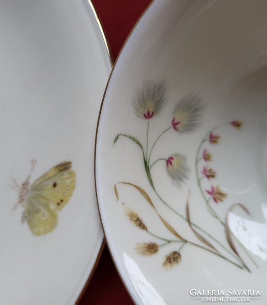 Elfenbein Bavaria porcelán kávés teás reggeliző szett hiányos csésze kistányér tányér virág pillangó