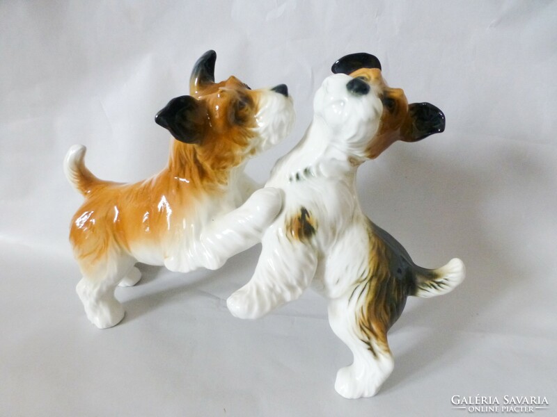 Gyönyörű Karl Ens porcelán kutyapár,játszó terrier kölykök