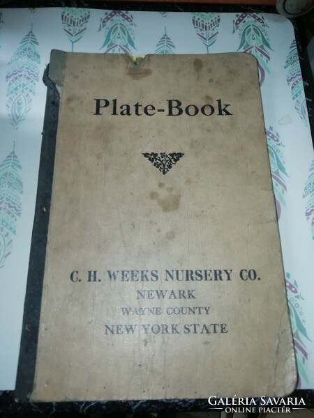 G. H. Weeks nursery co plate book 167 from a very rare collection.