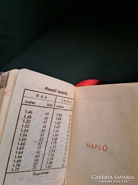 Mini napló 1961 trafikárú