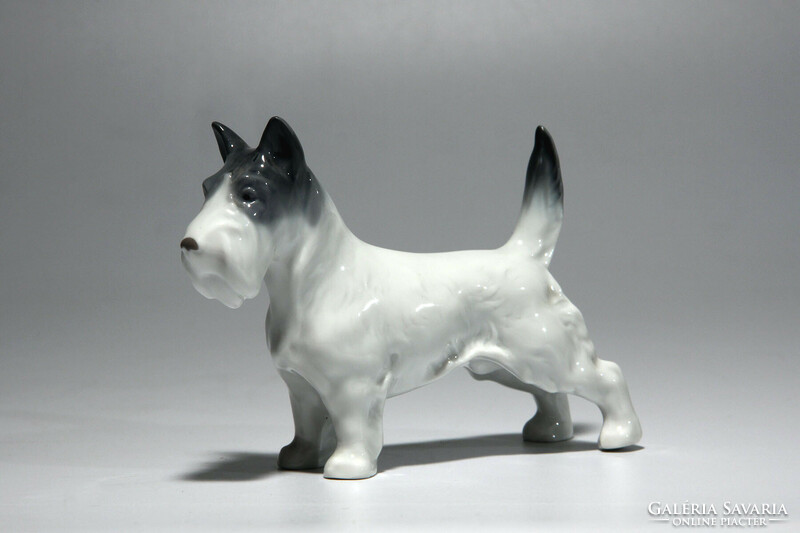 Metzler & Ortloff Skót Terrier Porcelán Kutya 10x8cm