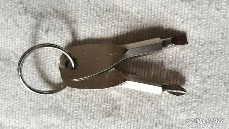 Keychain with screwdriver function