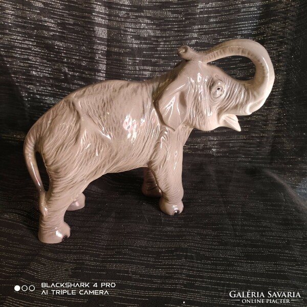 Sitzendorf porcelain elephant