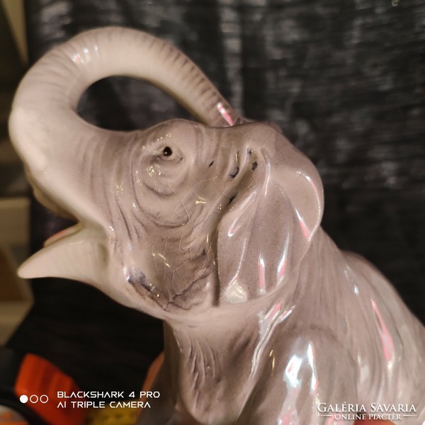 Sitzendorf porcelán elefánt
