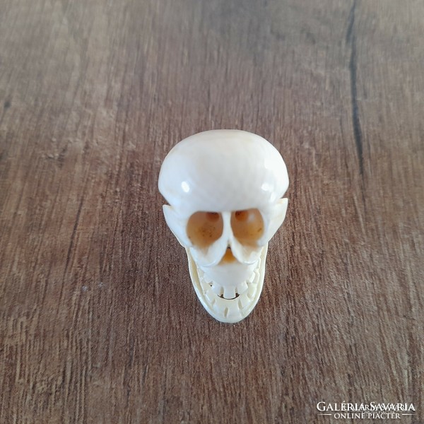 Antique netsuke bone skull
