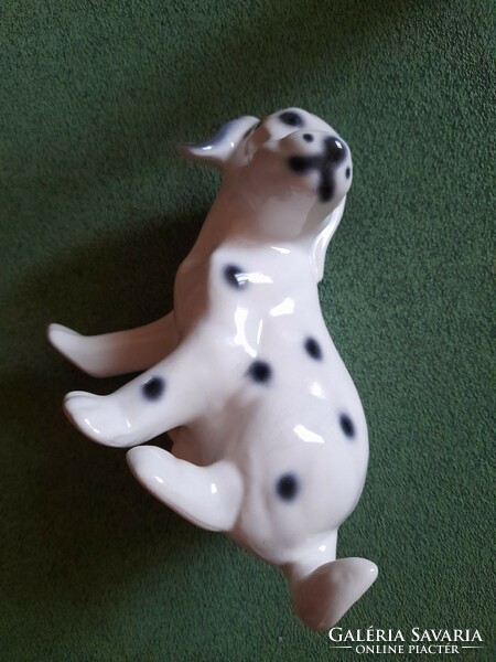 Porcelain Dalmatian