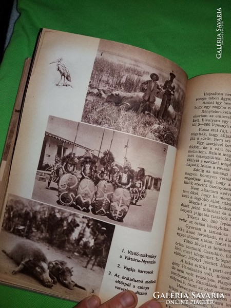 1957. Kálmán Kittenberger: in the wilds of East Africa book according to pictures youth