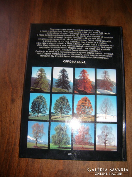 Fák és cserjék (Több mint 1600 színes fotó) Godet - növénykalauz