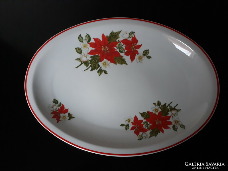 Zsolnay poinsettia pattern steak plate