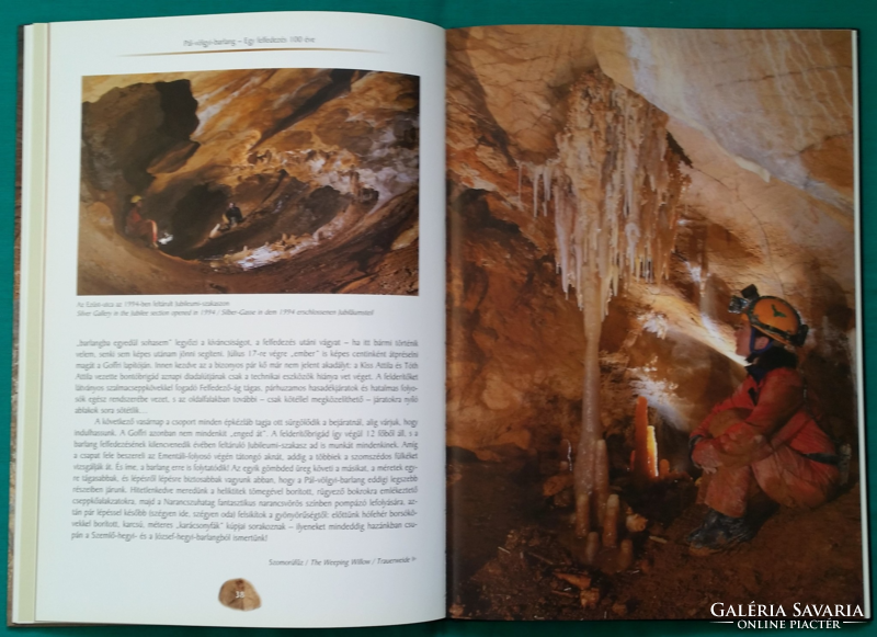 Katalin Takácsné Bolner: Pál-völgyi-cave - 100 years of a discovery > geography > caves