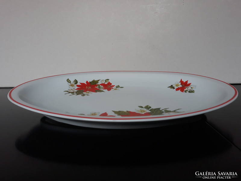 Zsolnay poinsettia pattern steak plate