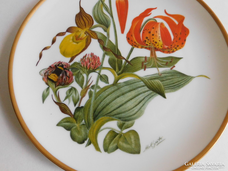Wildflowers of America series - New England - Franklin porcelain