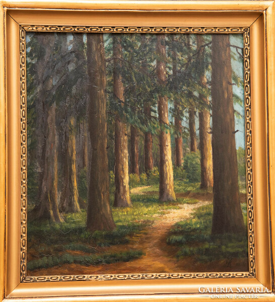 Forest detail