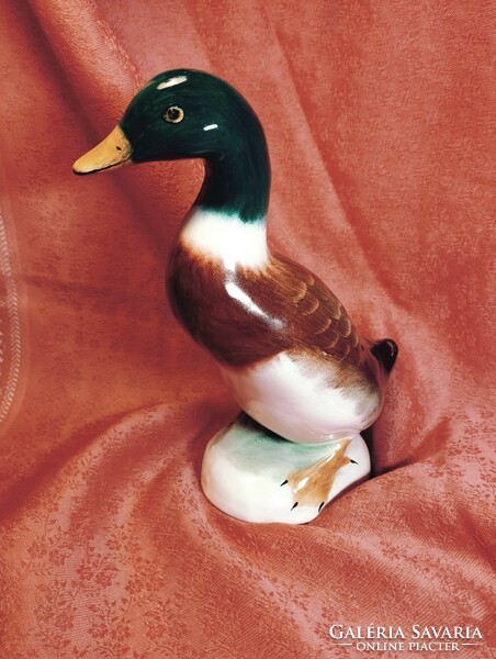 Beautiful porcelain wild duck, nipp