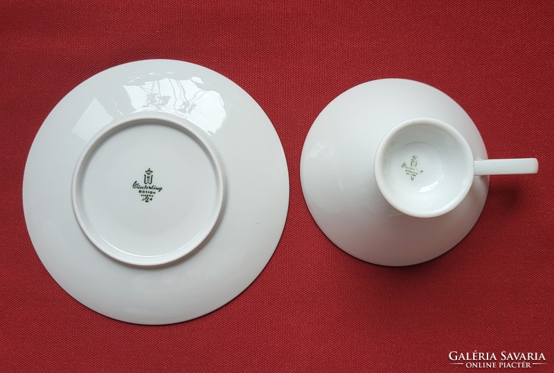 Winterling Röslau Bavaria német porcelán kávés teás szett csésze csészealj virág mintával
