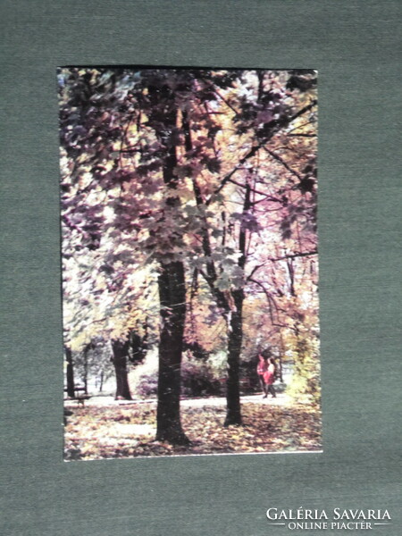 Card calendar, Yugoslavia, Croatian, tourism, Lovcen mountains, forest detail, 1979, (4)
