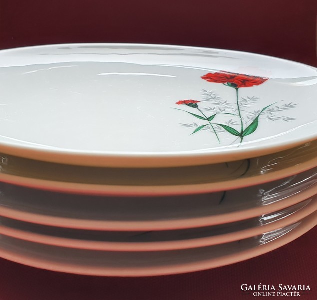 5db Winterling Röslau Bavaria német porcelán kistányér süteményes tányér szegfű virág mintával