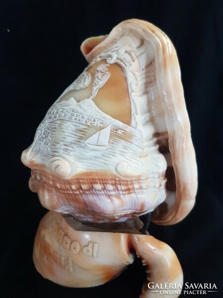 Old, Italian, hand-carved shell from the 30s, camea shell, snail