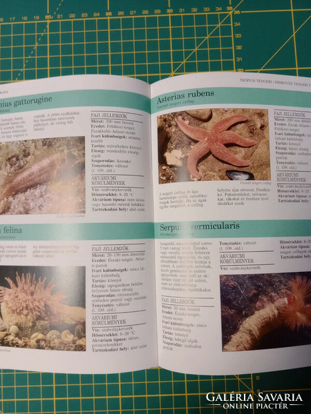 Dick mills - aquarist's handbook