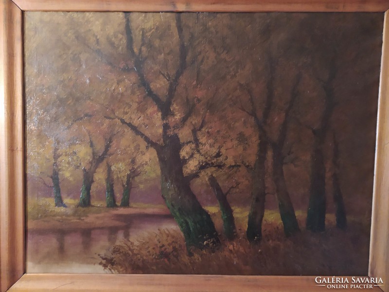 Kalmán V. Sashegyi.: Large oil on canvas painting in a nice frame 118x93 cm