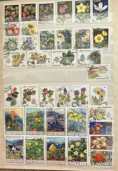 Stamps with flowers motif