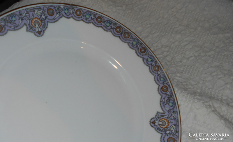 Antique haas & czjzek schlaggenwald porcelain plate 24.5 cm